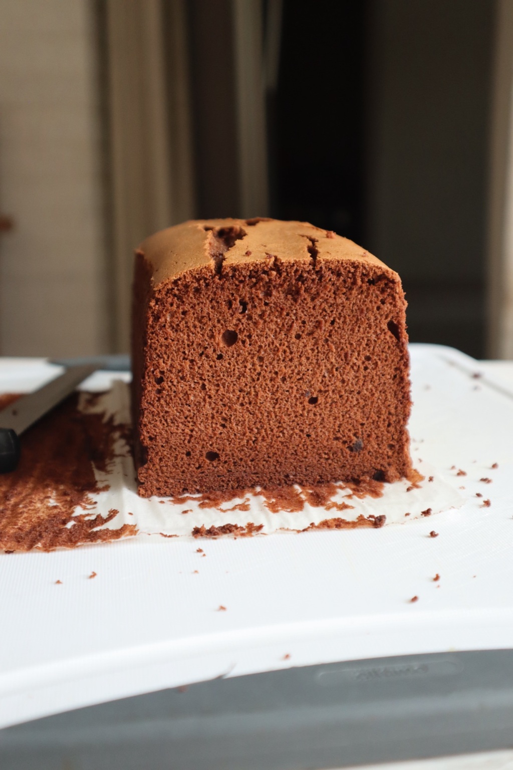 Chocolate Sponge Cake (softest chocolate cake)
